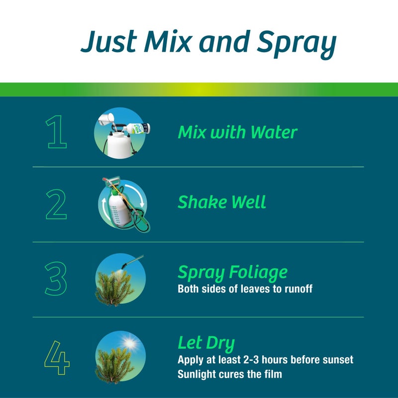 Wilt-PrufÂ® Concentrate | Protect Against Winter Damage, Drought, and Stress | Just Spray & Let Dry | Locks in Moisture w/Clear Foliar Film | Professional-Grade & Trusted | Replaces Burlap | (1 Gal) - Image 5